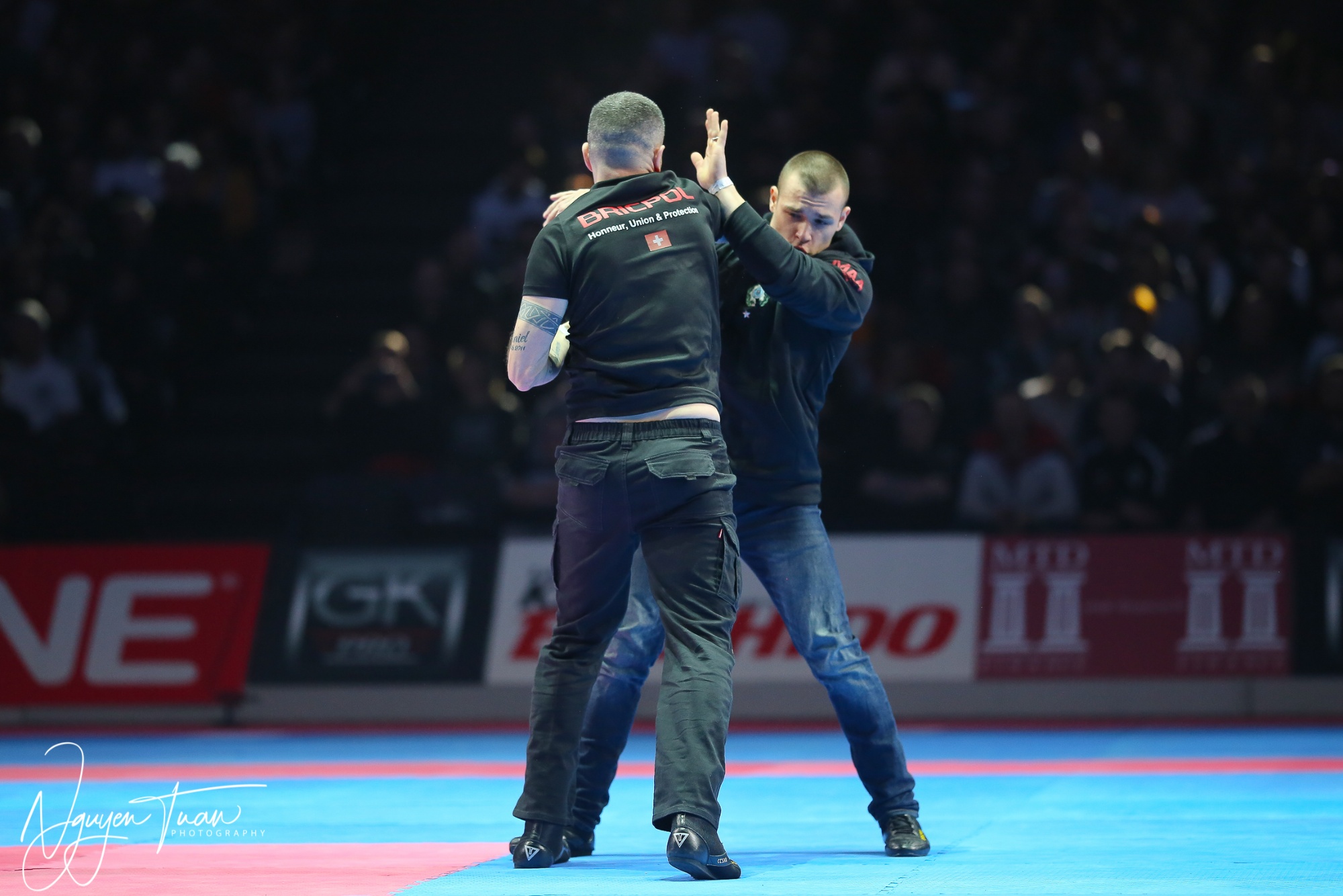 20190324 Festival des Arts Martiaux 2775